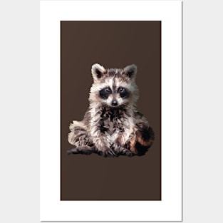 Raccoon Posters and Art